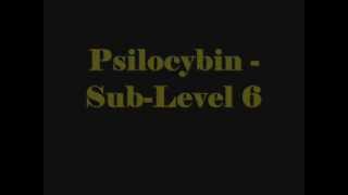 Psilocybin - Sub-Level 6