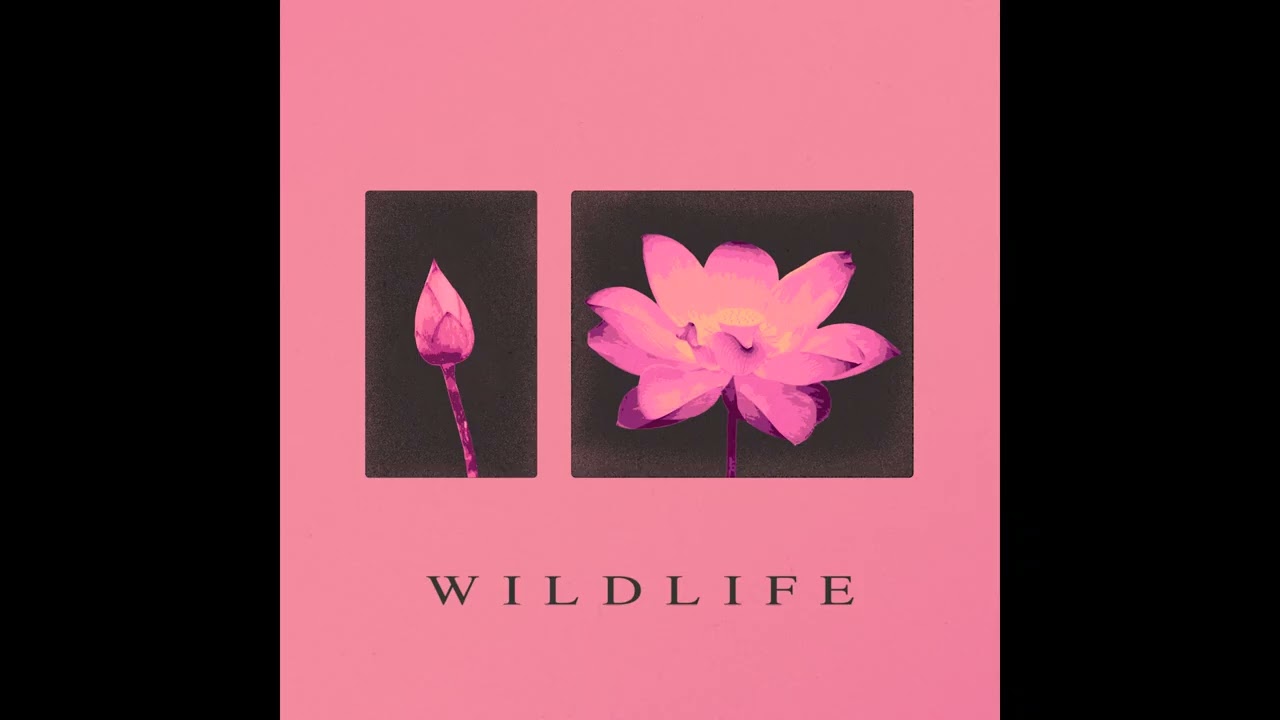 Sugar Soap - Wildlife