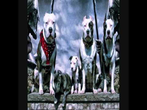 SDC Anarchy Acharné poté gam [ Skan Maker] HD