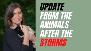 An Update From The Animals After the Feb 22 Storms!