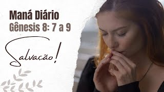 Maná Diário - Salvação Gênesis 8: 7 a 9