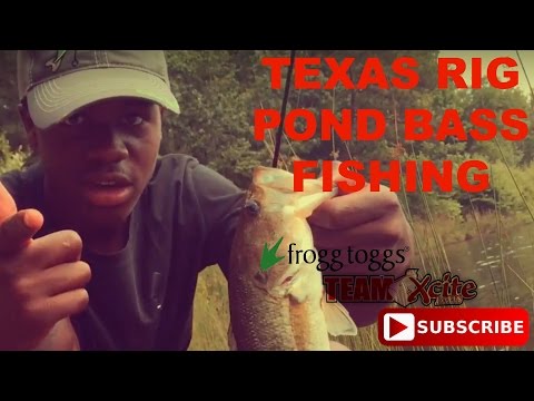 Pond bass fishing : Texas rig worm