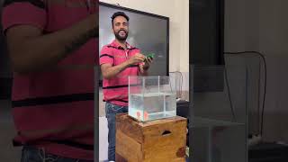 Concept of Buoyant force I Ashu Sir #scienceexperiment #shorts #physics #funny #comedy