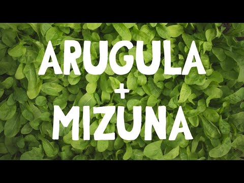 , title : 'How To Grow ~ Arugula and Mizuna Harvest'