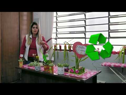 Videoaula 63 # Cantinho Verde. Orientador Social: Fabiani