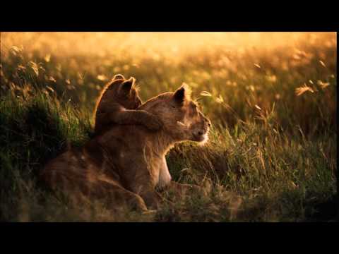 Deorro VS. Dada Life - Lose the Dada (SAMOUS MASHUP) (Promotion)