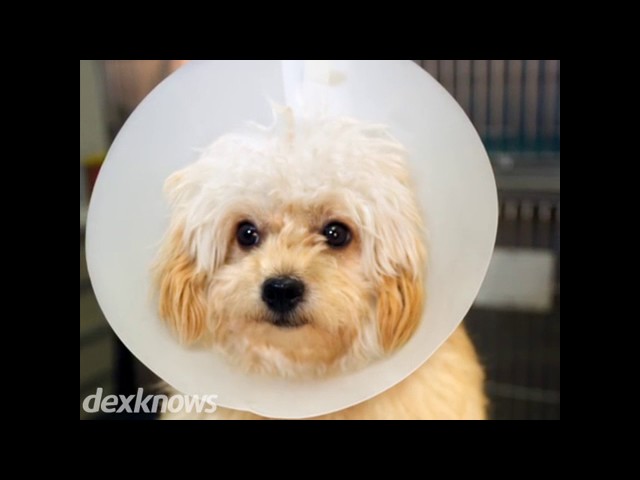 Worner David R DVM - Mansfield, OH