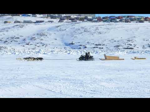 Exciting Adventure in the Arctic