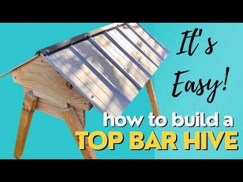 , title : 'DIY! How to Build a Top Bar Beehive! With NO PLANS! | #Aussiebeekeeping #topbarhive | 3-10-22'