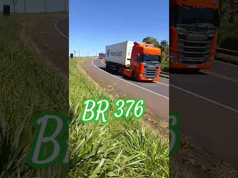 APUCARANA PARANÁ  .