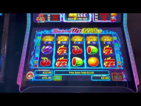 SLOTTING🍀🍀BURN EM UP GOLDAGE, DRACULA,RR BLAZING LOCK,WILD OUTLAWS,HUFF N MORE PUFF+ MORE 🍀🍀