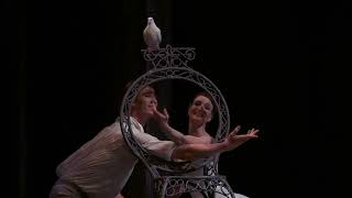 Marston: The Cellist / Ashton: The Two Pigeons (The Royal Ballet)