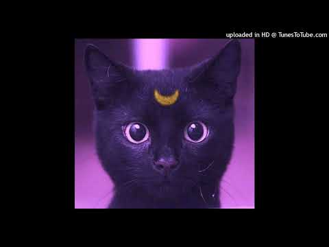 Nick3 DAnk (Trassh Vampire) - On like An Island