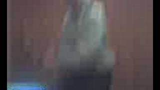 Twiggy Does The Raindance!!!