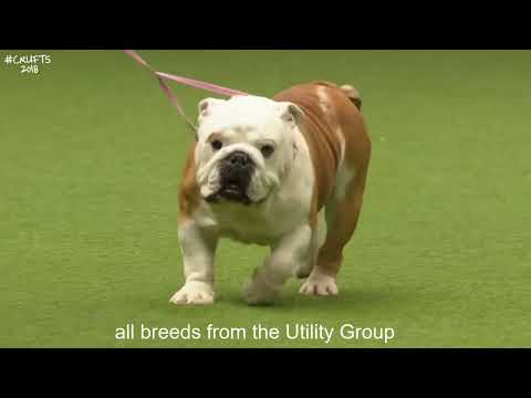 2021's Registration Numbers Series Playlist