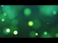 Green Orange Blue Yellow Bright Circles Looped Green Animated Background Relaxing Screensaver