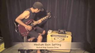 Video thumbnail for NEW Bad Cat Siamese Drive Pedal by Bad Cat Amps