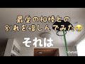 Bing Mini Noserider 7.4f デビッドヌヒアモデル DNNR