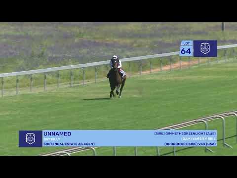 Lot 64 - UNNAMED - GIMMETHEGREENLIGHT (AUS) x VARSITY GIRL - 22 October 2023