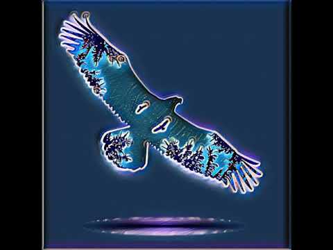 Stuck in an Eagle Dream