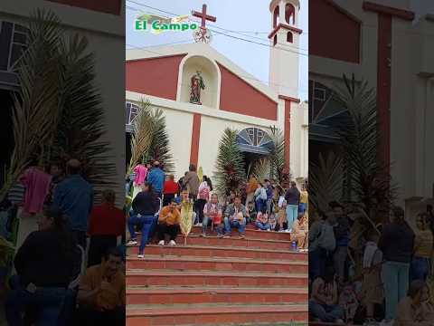 🌴Domingo de Ramos e inicio de Semana Santa en #Buenavista #Boyacá #Colombia