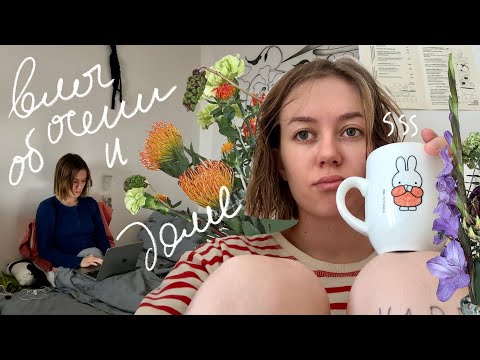 сижу дома целыми днями ❤️🍁🍵 осенний влог
