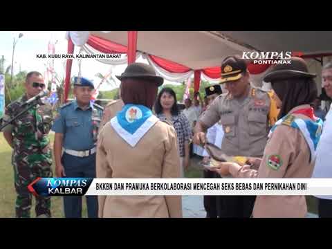 Beberapa obat untuk potensi Obat untuk meningkatkan potensi bagi perempuan