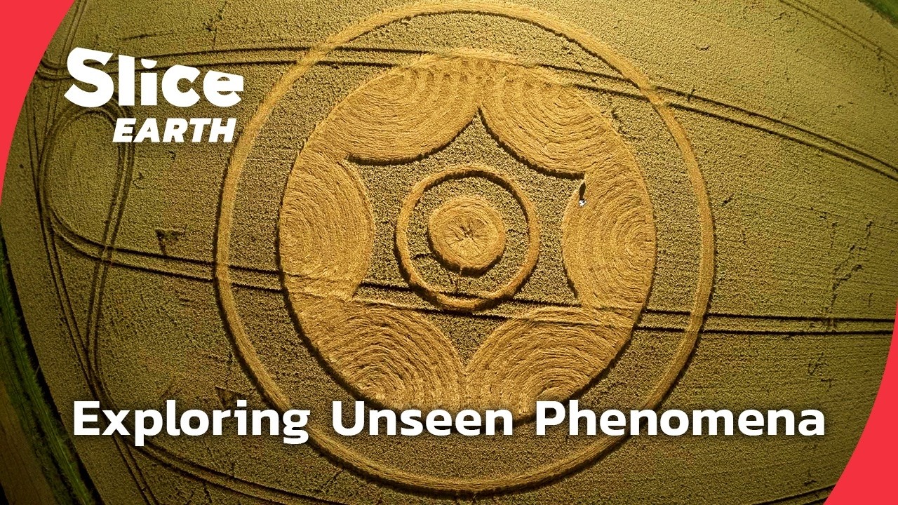 Field of Secrets: The Crop Circle Investigation | SLICE EARTH | FULL DOC