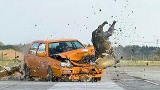 Atropello animal -  Accidentes ocasionados por atropello de animales en carreteras