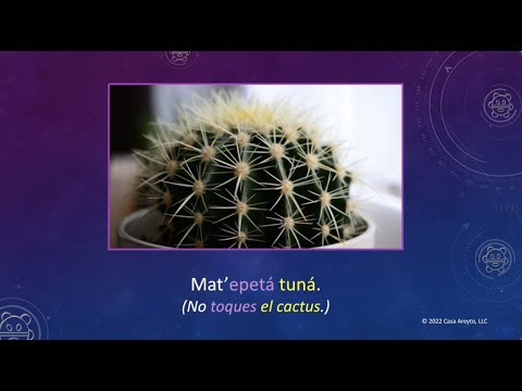 Let's Talk Taíno en español 53 - Sentido del tacto ✋