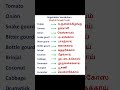 Vegetables Vocabulary English Through Tamil Englishtotamil Englishvocabulary Tamiltoenglish Learn