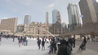 Toronto Ice Skating