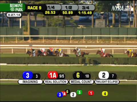 Main Sequence - 2014 Joe Hirsch Turf Classic (G1)
