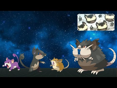 Evolution Pokemon Raticate Vs Rattata - Size Pokemon - Amv Pokemon