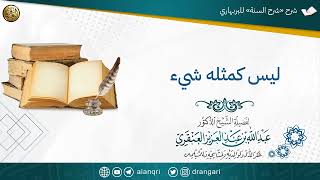 صورة ليس كمثله شيء | الشيخ عبدالله العنقري