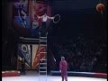 Freestanding Ladder