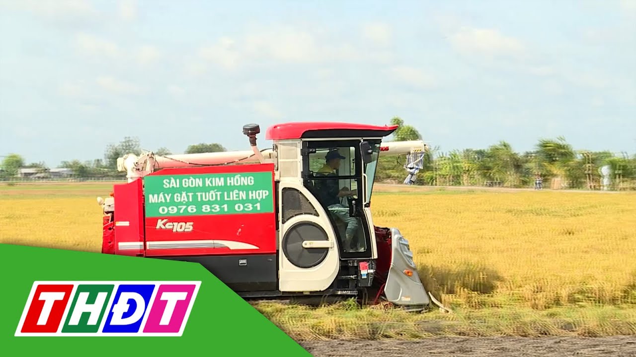 CHƠN CHÍNH CHIA SẺ SUY NGHĨ VỀ ĐỀ ÁN 1 TRIỆU HA LÚA