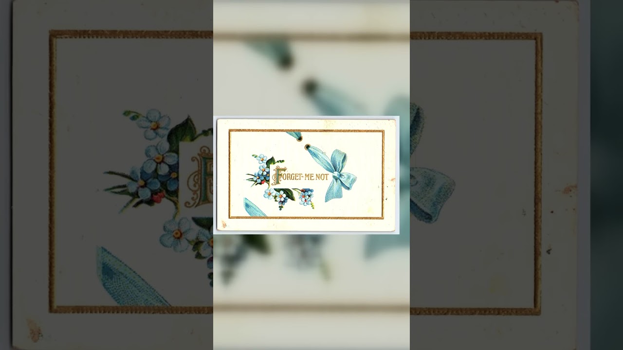 Forget-Me-Not Postcard, Divided Back, 1911, Washington Postmark Video