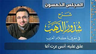 صورة المجلس الخمسون من شرح شذور الذهب - أنس عزت آغا