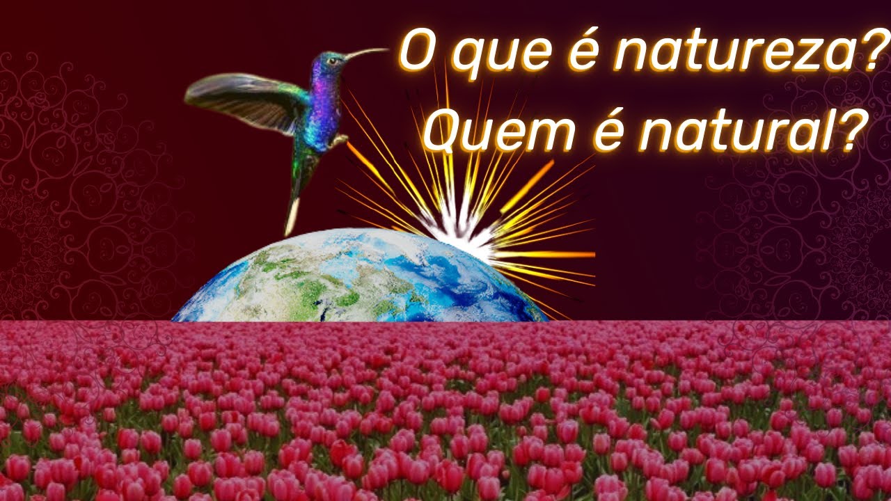 O que é natureza Quem é natural