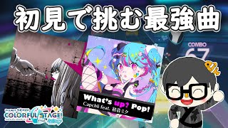 【プロセカ】最強の激ムズ新曲「what's up pop」「腐れ外道とチョコレゐト」を初見で挑む！#5