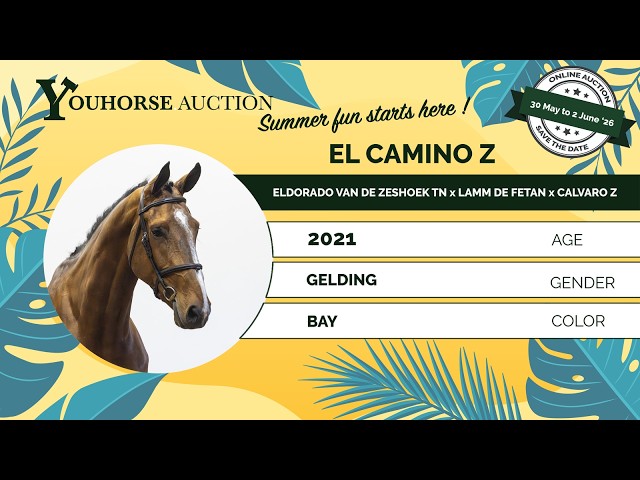El Camino Z