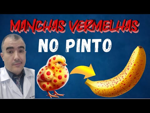 Manchas vermelhas no pênis