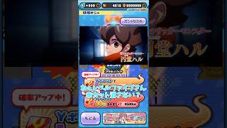 コンプリートまであと1人！！スクールマリン船長がガチで欲しいから虹が出るまで回す！！#妖怪ウォッチぷにぷに #ホロライブ #宝鐘マリン