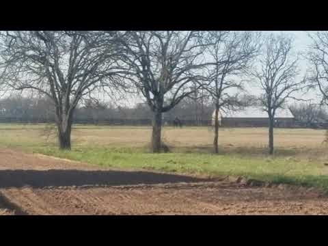 Wicked strong /simply sensational