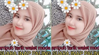 Download lagu SUARA INAP ANAKAN WALET PALING DICARI mp3