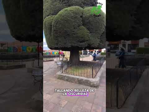 Topaga en Boyaca.