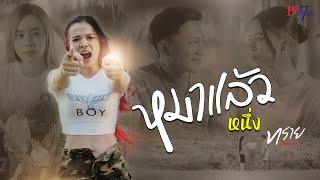 หมาแล้วหนึ่ง ทราย บิ๊กเซเว่น