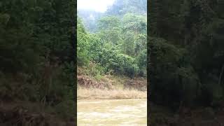preview picture of video 'Journey to Nafakum by River Sangu ,Bandarban Bangladesh'
