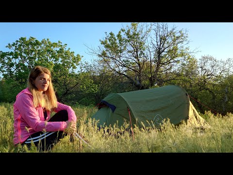 La cort prima noapte pe anul asta - drumul de intoarcere